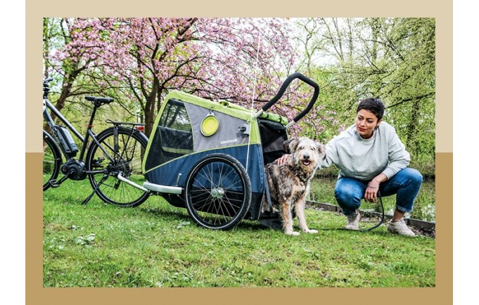CROOZER Remorque vélo pour chien Dog Tammo Moss green